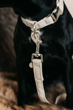 Kentucky Dogwear Kentucky Dogwear-U Hundkoppe