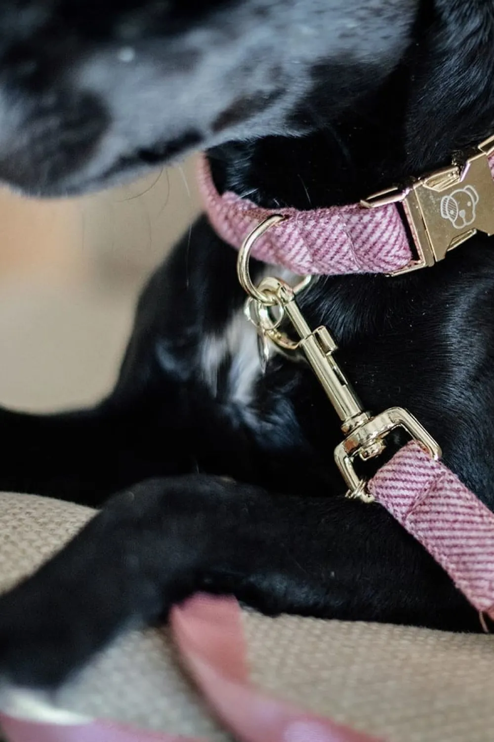 Kentucky Dogwear Kentucky Dogwear-U Hundkoppe
