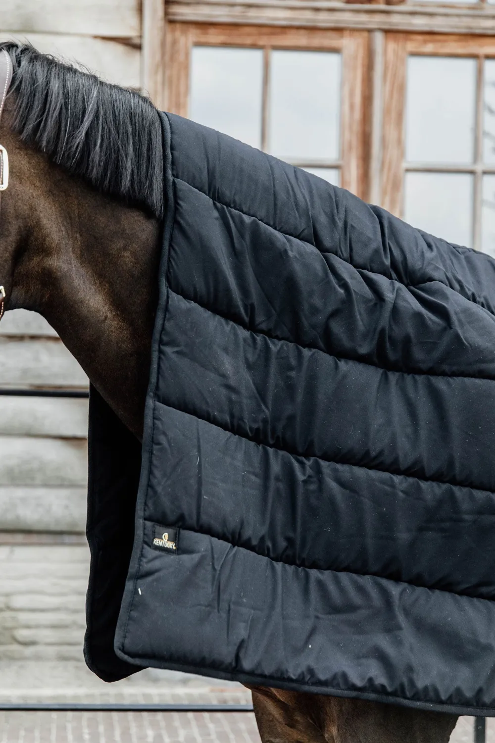 Kentucky Horsewear Hästtäcken & Flughuvor|Kentucky Horsewear-Undertäcke Duvet 300g Svart