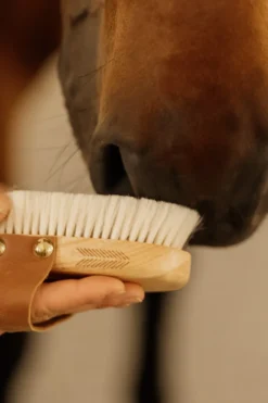 Grooming Deluxe Grooming Deluxe-Universalborste Mjuk Liten Brun