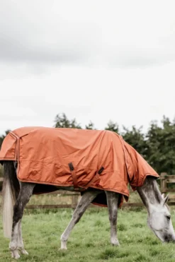 Kentucky Horsewear Hästtäcken & Flughuvor|Kentucky Horsewear-Utetäcke Allväder 160g