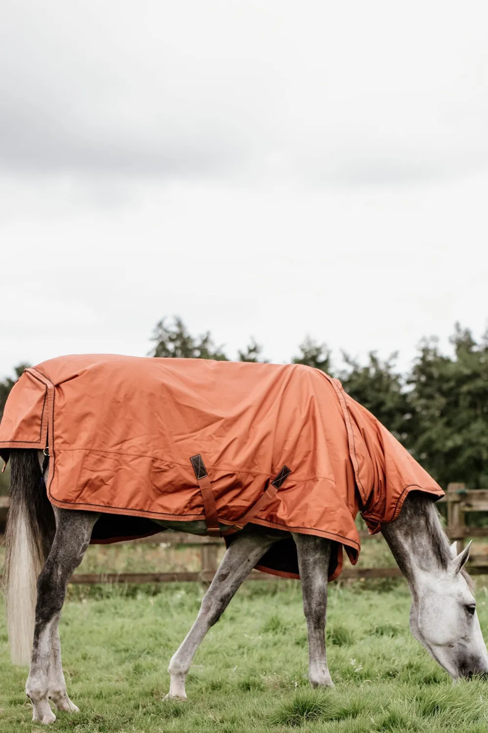 Kentucky Horsewear Hästtäcken & Flughuvor|Kentucky Horsewear-Utetäcke Allväder 160g