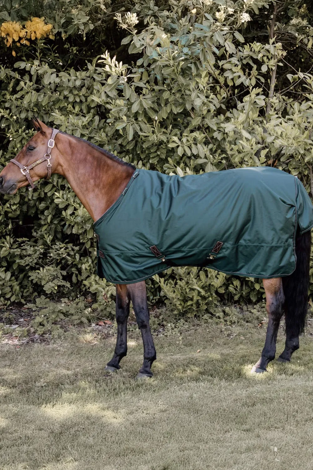 Kentucky Horsewear Hästtäcken & Flughuvor-Utetäcke Allväder g Mörkgrön