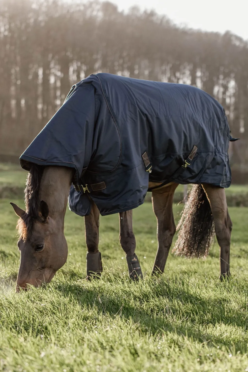 Kentucky Horsewear Hästtäcken & Flughuvor-Utetäcke Allväder Pro 300g Navy