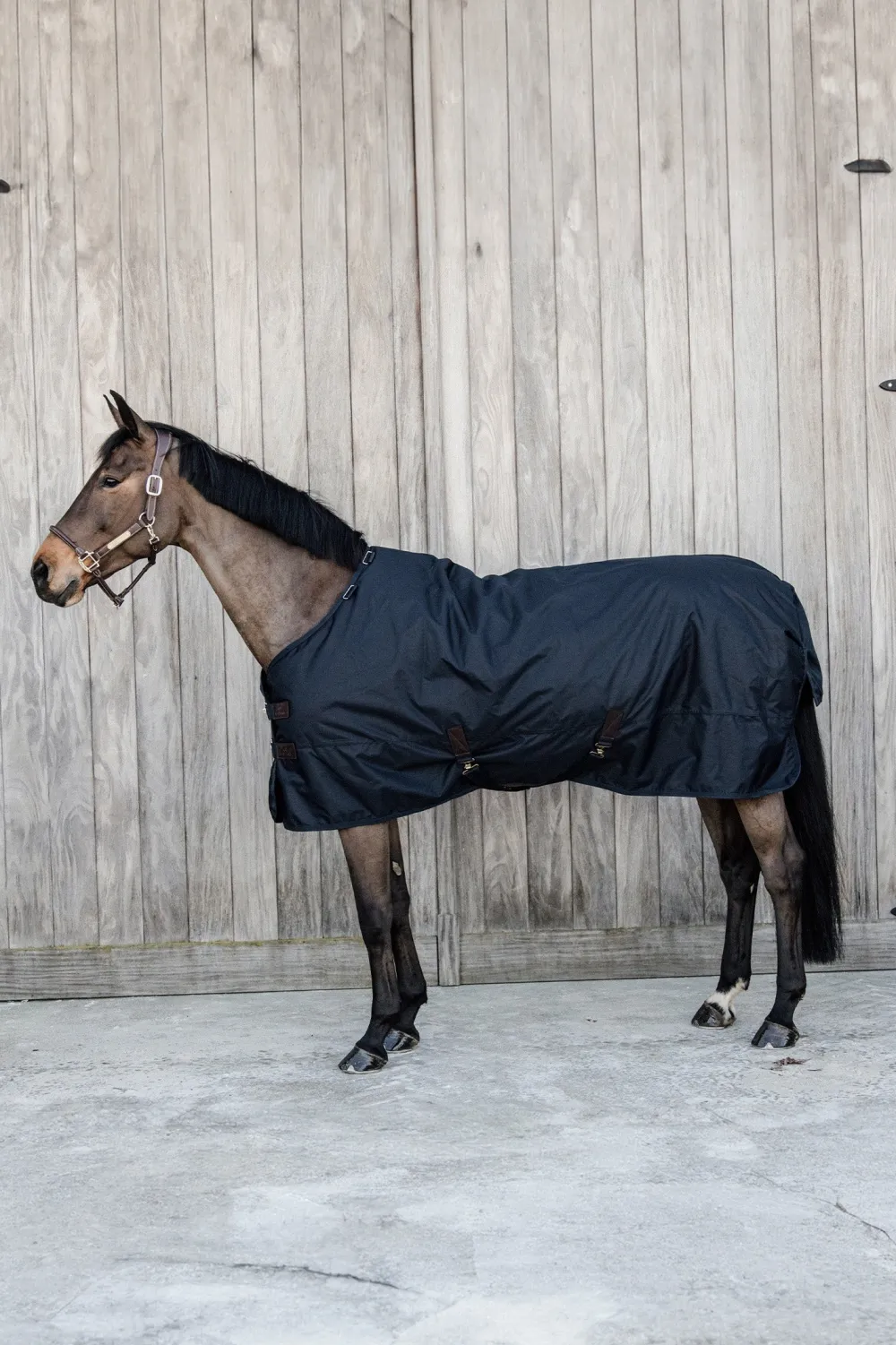 Kentucky Horsewear Hästtäcken & Flughuvor|Kentucky Horsewear-Utetäcke Allväder Vattentätt 50g 600D Navy