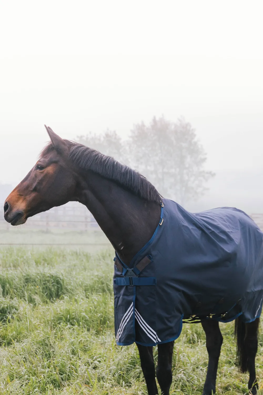 Kentucky Horsewear Kentucky Horsewear-Utetäcke All Weather Comfort 100g