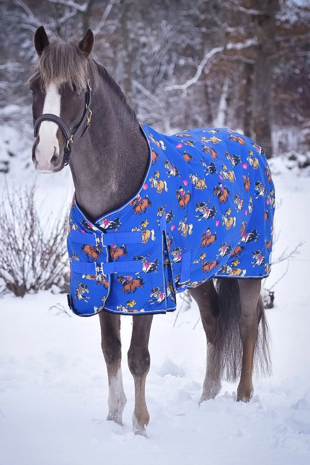 Källquist Hästtäcken & Flughuvor|Källquist Equestrian-Utetäcke 50g Blå