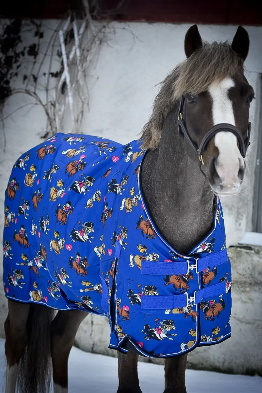 Källquist Hästtäcken & Flughuvor|Källquist Equestrian-Utetäcke 50g Blå