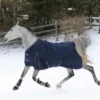 Svensk Ridsport Hästtäcken & Flughuvor-Utetäcke Plus 100g
