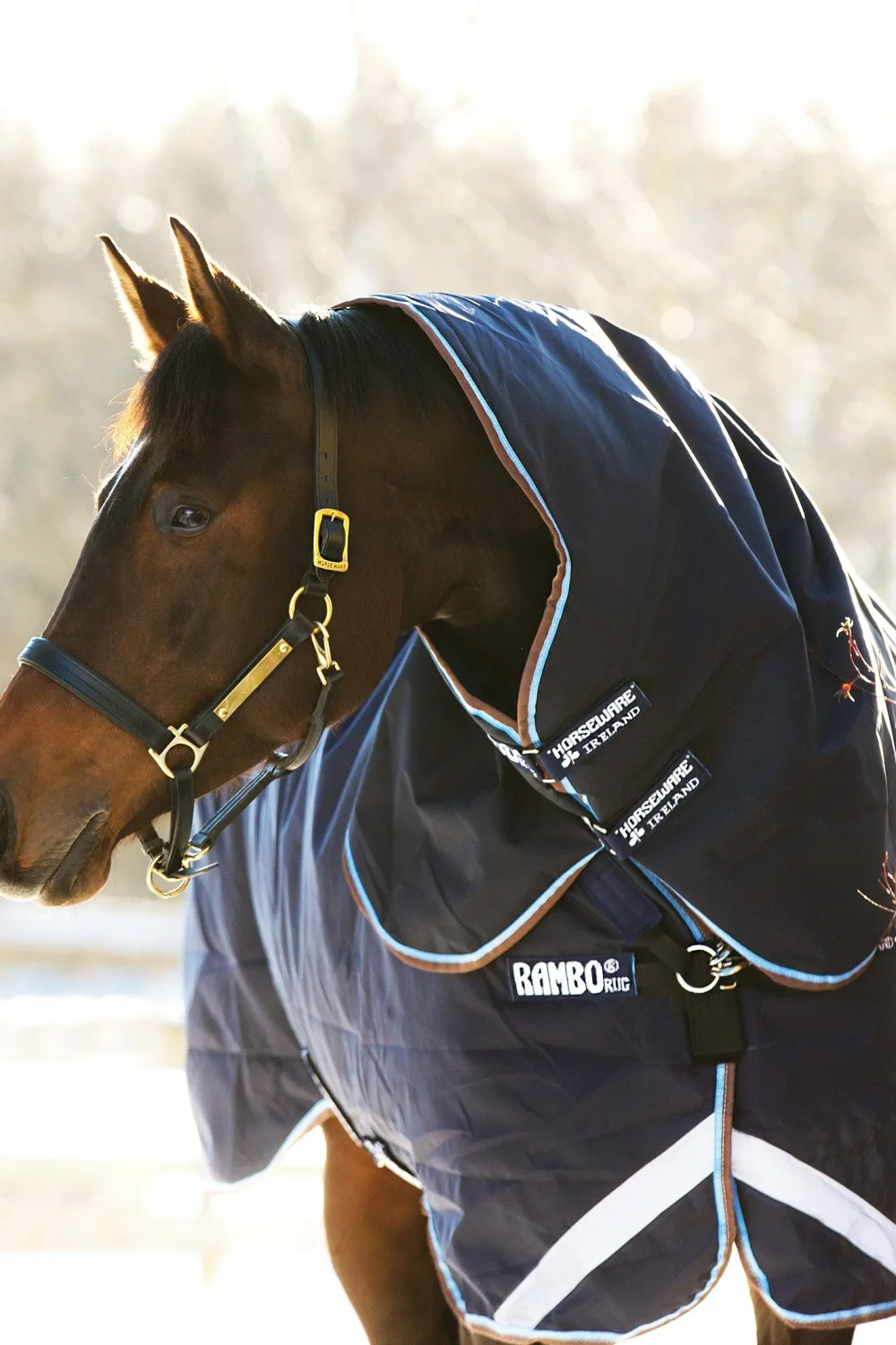 Horseware Horseware-Utetäcke Rambo Duo 400g