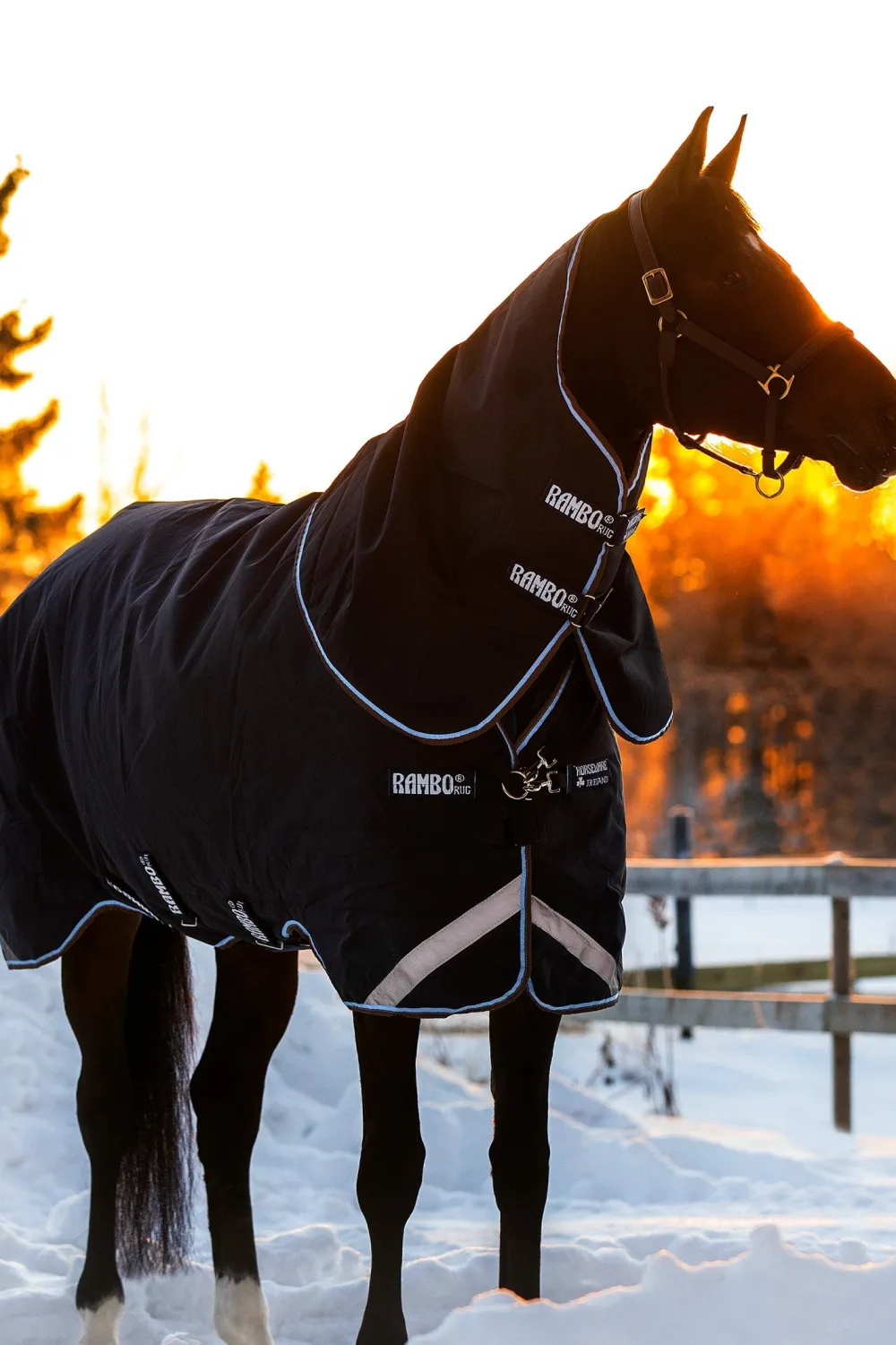 Horseware Horseware-Utetäcke Rambo Duo 400g