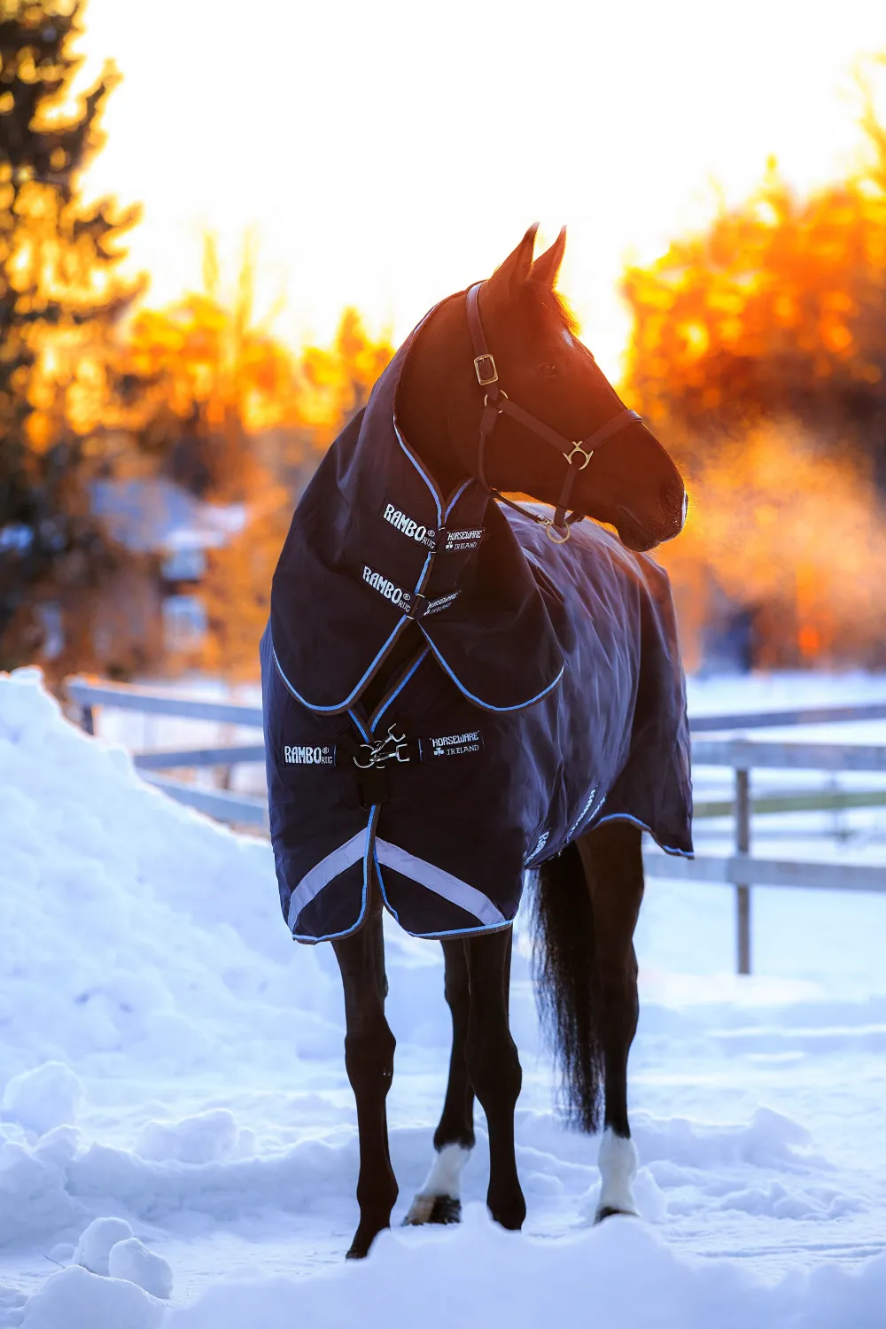 Horseware Horseware-Utetäcke Rambo Duo 400g