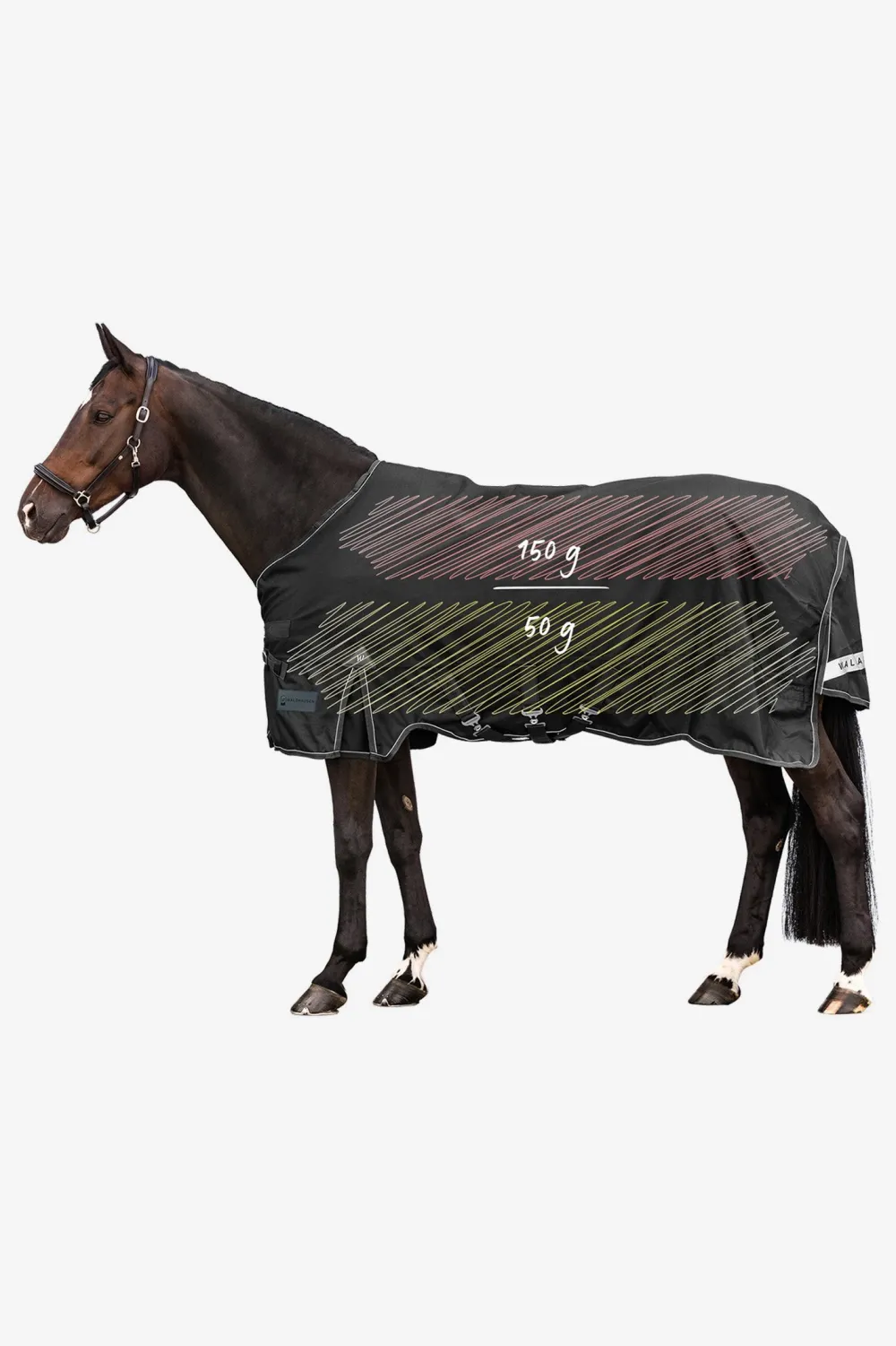Waldhausen Hästtäcken & Flughuvor-Utetäcke Scandic Flerlager 150g/50g Svart