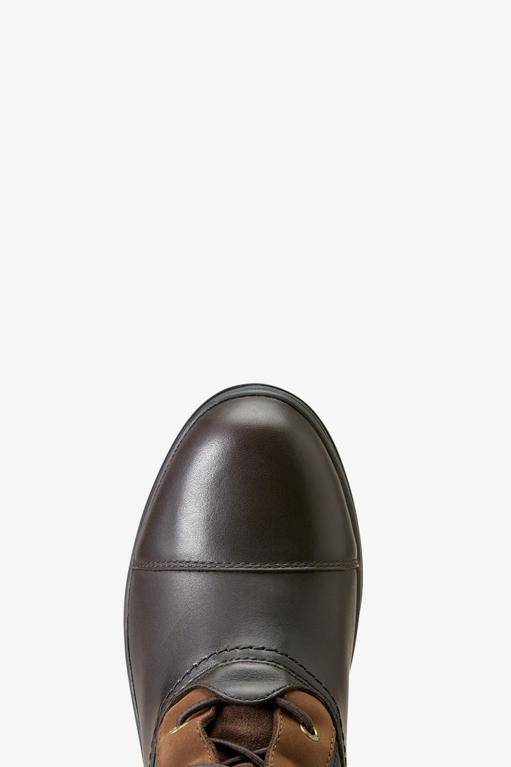 Ariat Ariat-Vattentäta Isolerade Ridstövlar Coniston Max Ebony