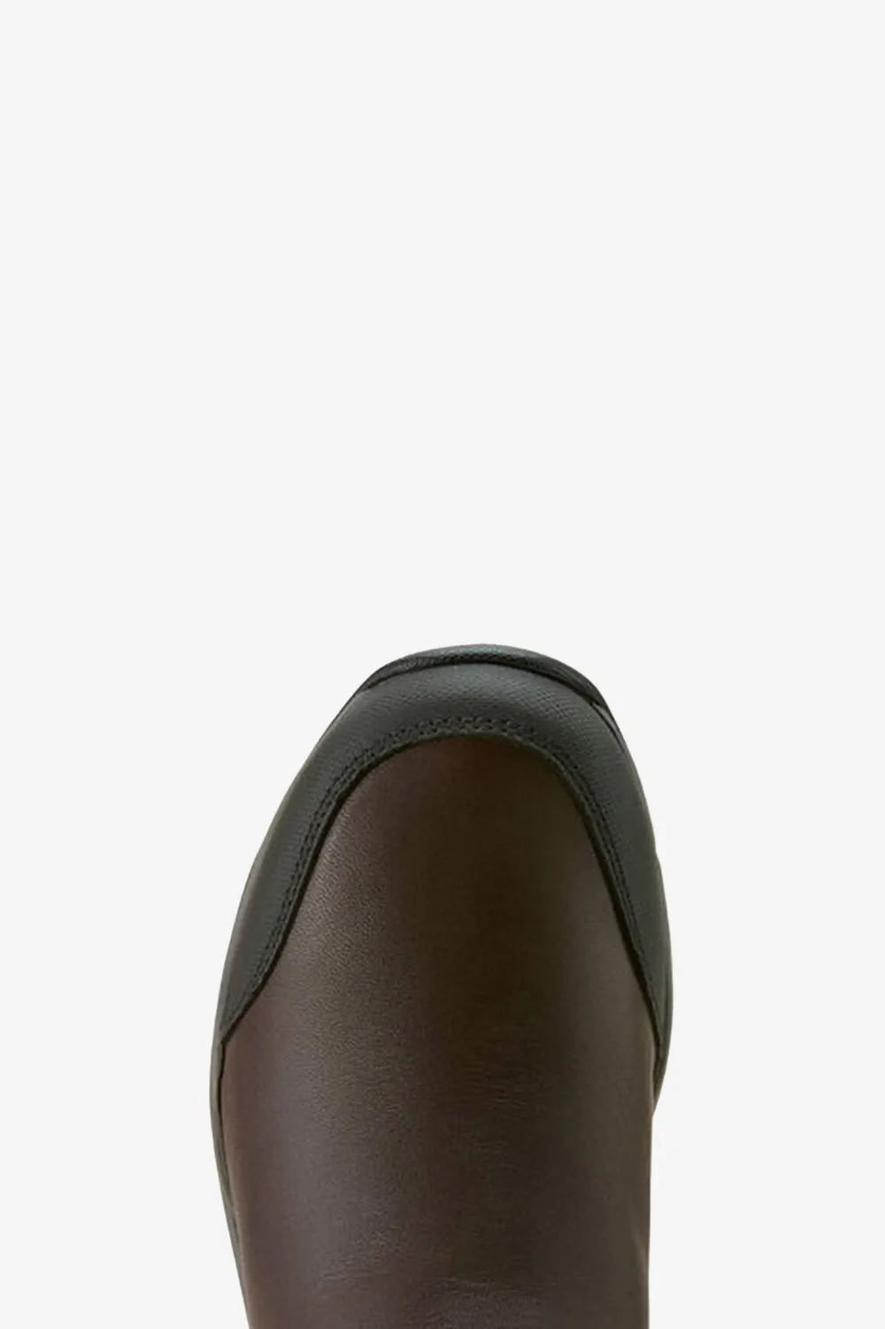 Ariat Ariat-Vattentäta Ridstövlar Telluride R/M Mörkbrun