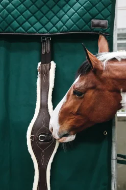 Kentucky Horsewear Kentucky Horsewear|Väskor & Boxgardiner-Vattentät Boxgardin Grön