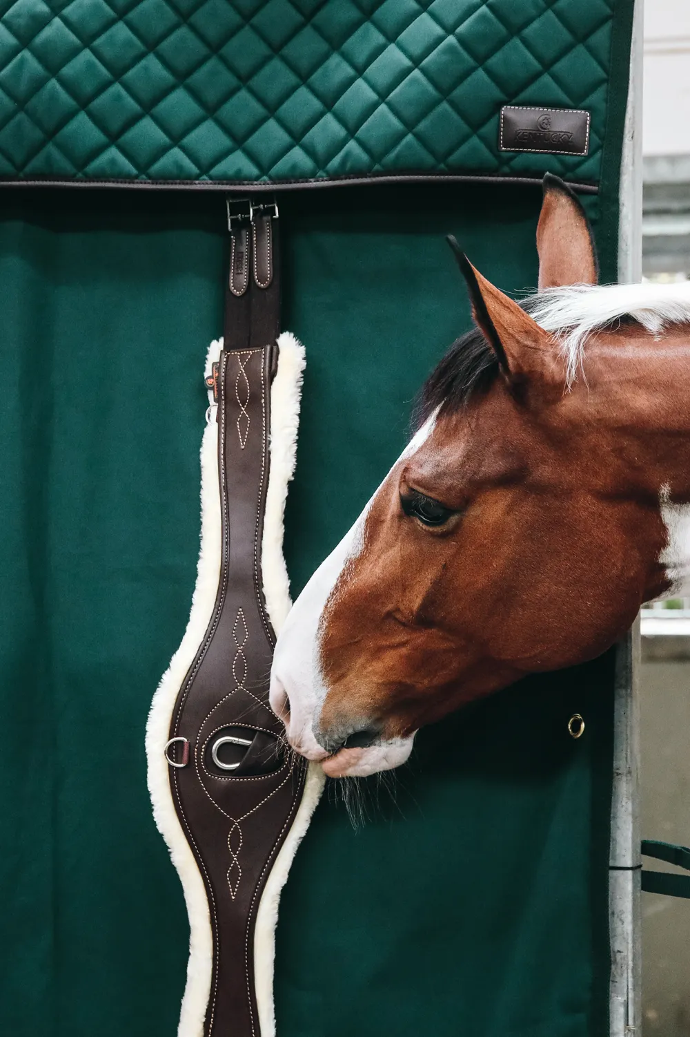 Kentucky Horsewear Kentucky Horsewear|Väskor & Boxgardiner-Vattentät Boxgardin Grön