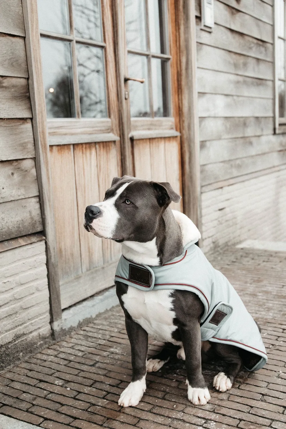 Kentucky Dogwear Kentucky Dogwear-Vattentätt Hundtäcke