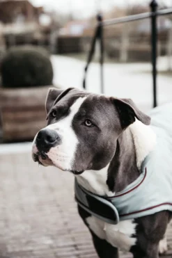 Kentucky Dogwear Kentucky Dogwear-Vattentätt Hundtäcke