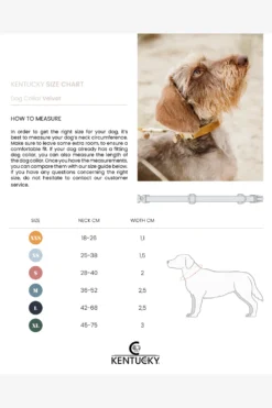 Kentucky Dogwear Kentucky Dogwear-Vattentätt Hundtäcke 300g