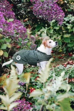 Kentucky Dogwear Kentucky Dogwear-Vattentätt Hundtäcke 300g
