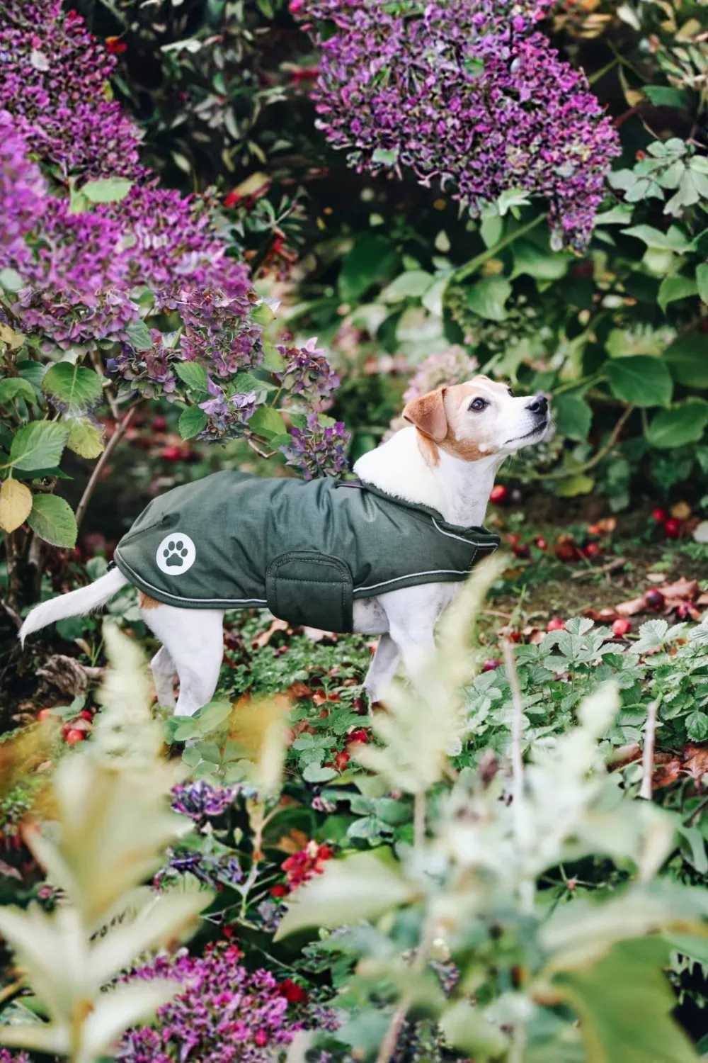 Kentucky Dogwear Kentucky Dogwear-Vattentätt Hundtäcke 300g