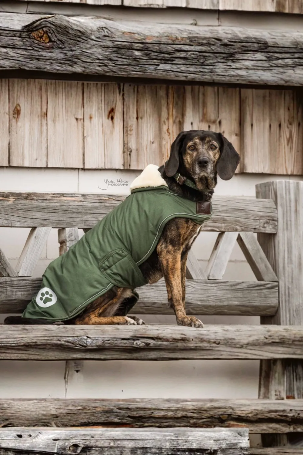 Kentucky Dogwear Kentucky Dogwear-Vattentätt Hundtäcke 300g