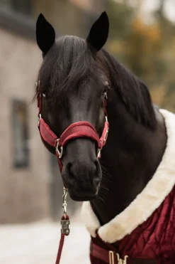 Kentucky Horsewear Kentucky Horsewear|Grimmor & Grimskaft-Velvet Grimma Bordeaux