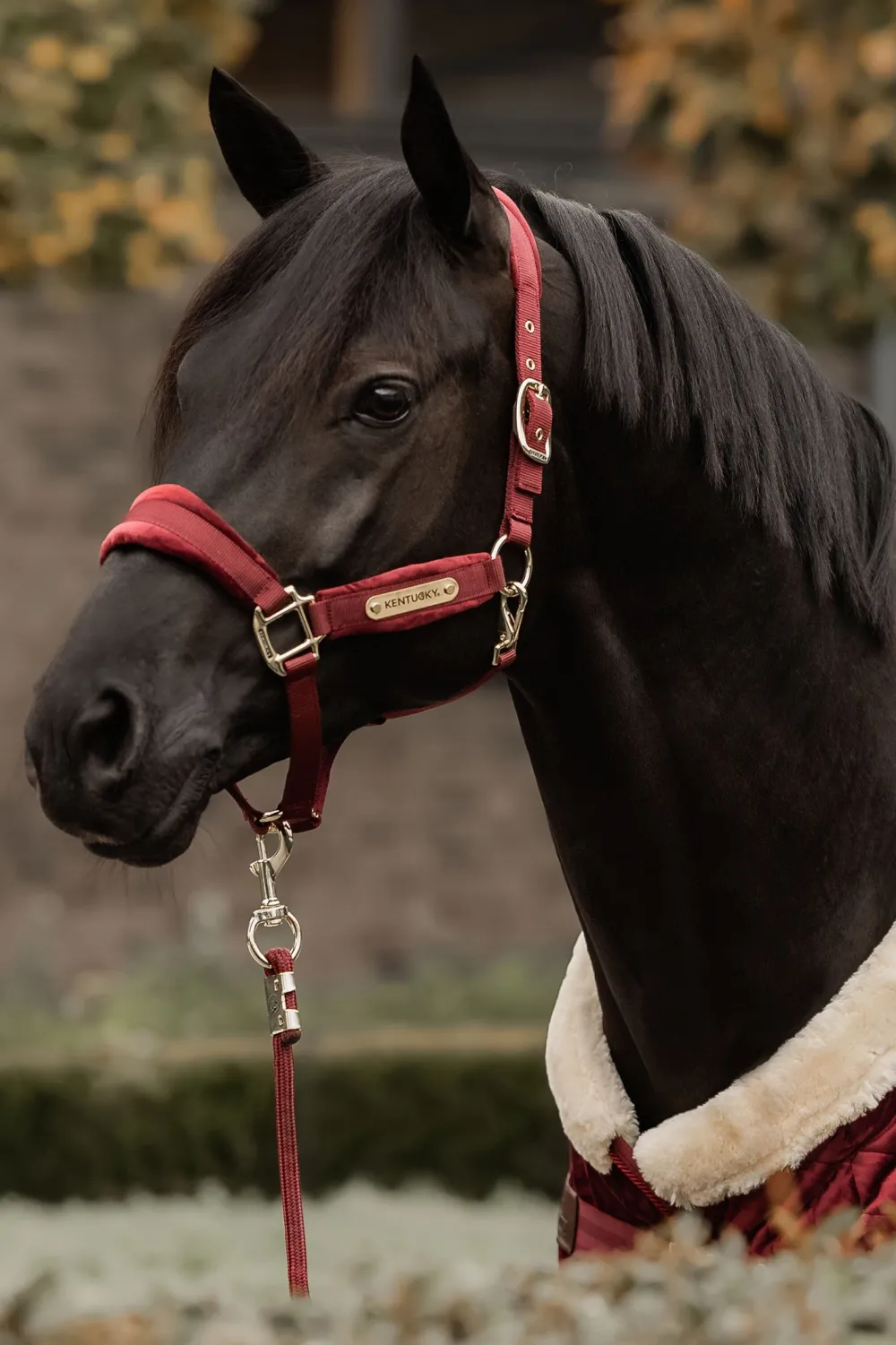 Kentucky Horsewear Kentucky Horsewear|Grimmor & Grimskaft-Velvet Grimma Bordeaux