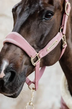 Kentucky Horsewear Kentucky Horsewear|Grimmor & Grimskaft-Velvet Grimma Old Rose