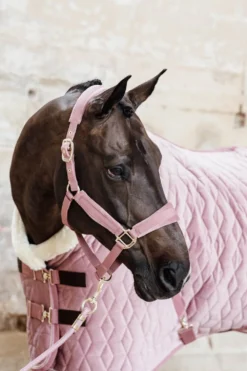 Kentucky Horsewear Kentucky Horsewear|Grimmor & Grimskaft-Velvet Grimma Old Rose