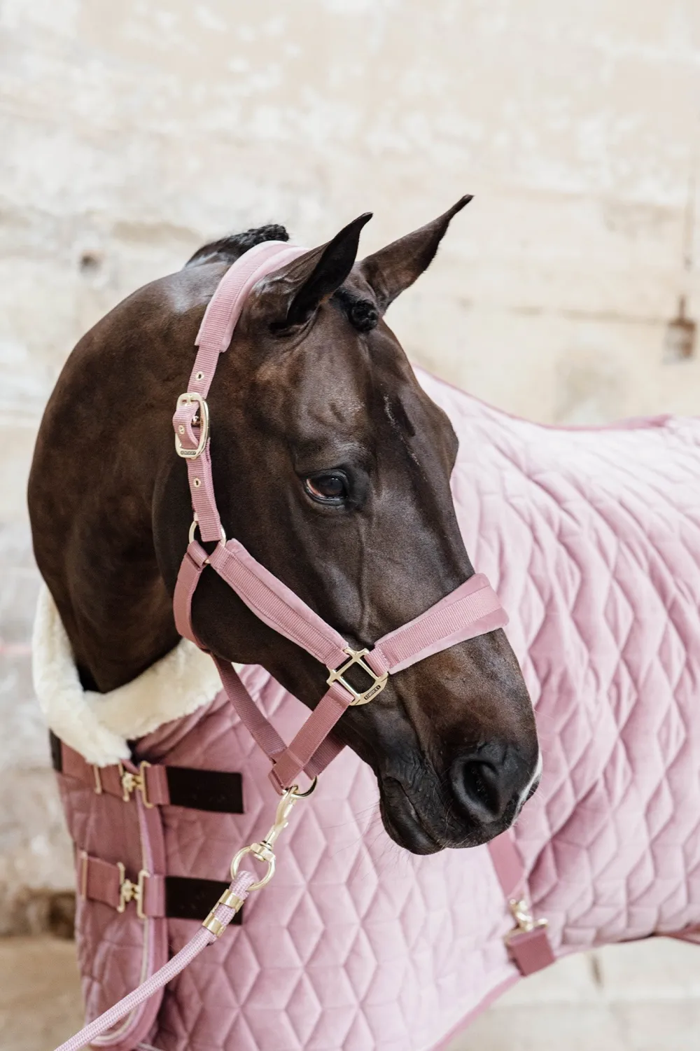 Kentucky Horsewear Kentucky Horsewear|Grimmor & Grimskaft-Velvet Grimma Old Rose