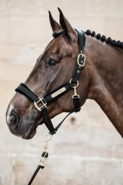 Kentucky Horsewear Kentucky Horsewear|Grimmor & Grimskaft-Velvet Grimma Svart