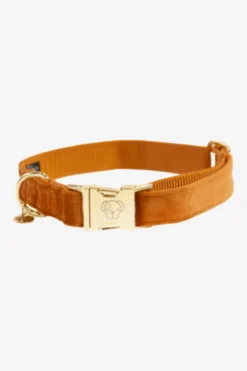 Kentucky Dogwear Kentucky Dogwear-Vevet Hundhaband