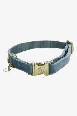 Kentucky Dogwear Kentucky Dogwear-Vevet Hundhaband