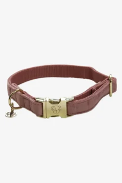 Kentucky Dogwear Kentucky Dogwear-Vevet Hundhaband