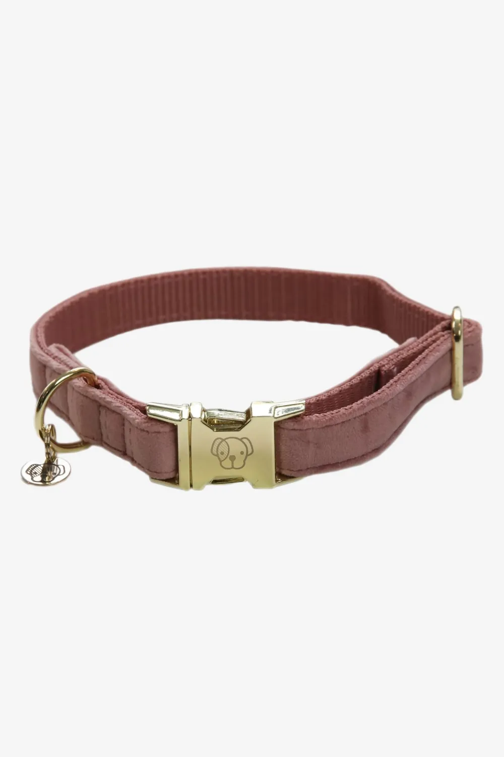 Kentucky Dogwear Kentucky Dogwear-Vevet Hundhaband