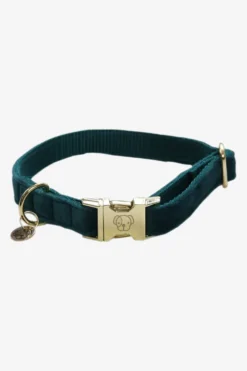 Kentucky Dogwear Kentucky Dogwear-Vevet Hundhaband