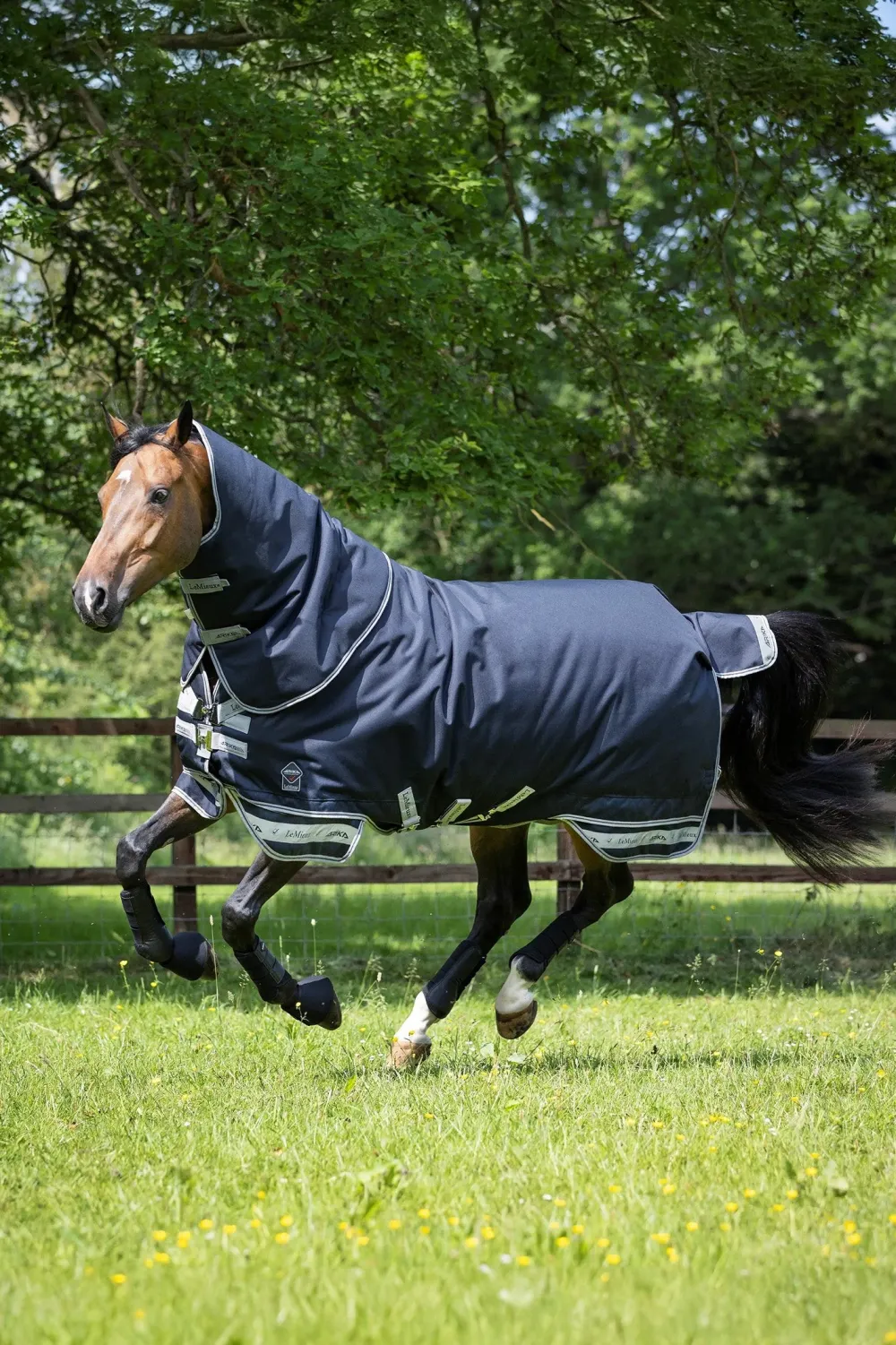 LeMieux Lemieux-Vintertäcke Arika Storm-Tek 200g Navy