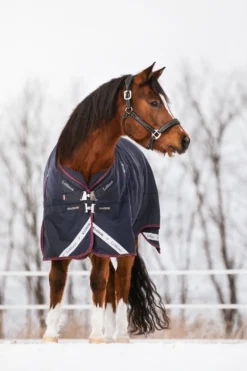 LeMieux Hästtäcken & Flughuvor|Lemieux-Vintertäcke Kudos 200g Navy