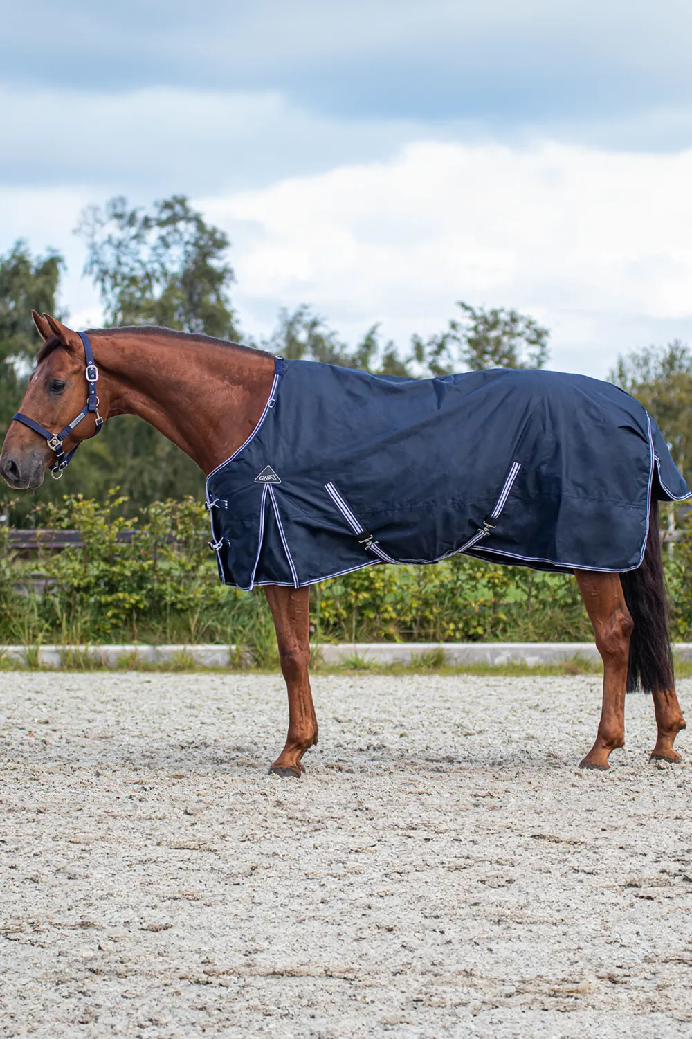 QHP Qhp|Hästtäcken & Flughuvor-Vintertäcke Luxury 200gr Navy
