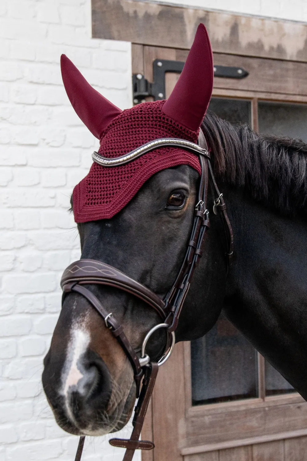 Kentucky Horsewear Kentucky Horsewear|Schabrak & Huvor-Wellington Huva