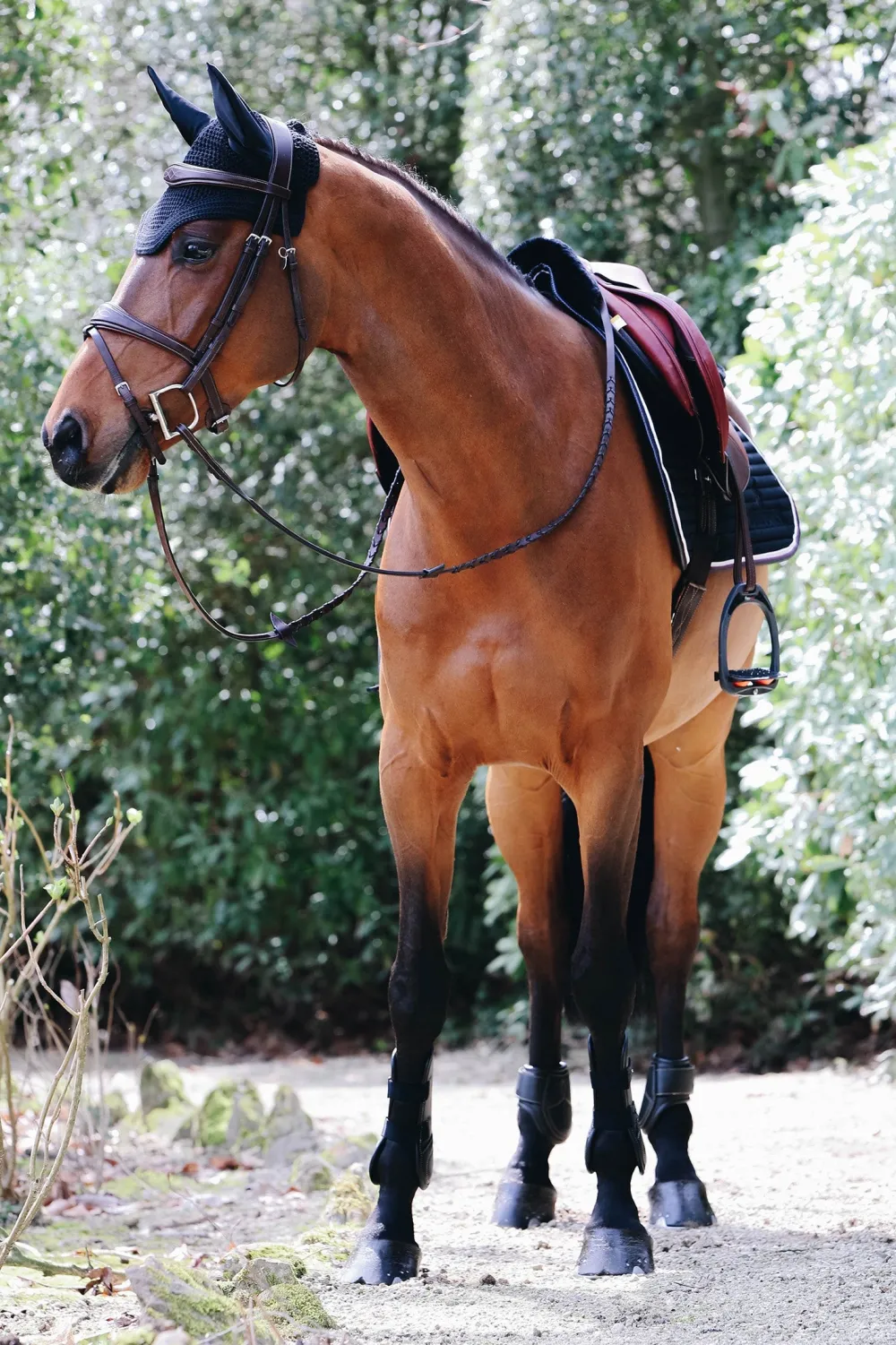 Kentucky Horsewear Kentucky Horsewear|Schabrak & Huvor-Weington Huva Cob Svart