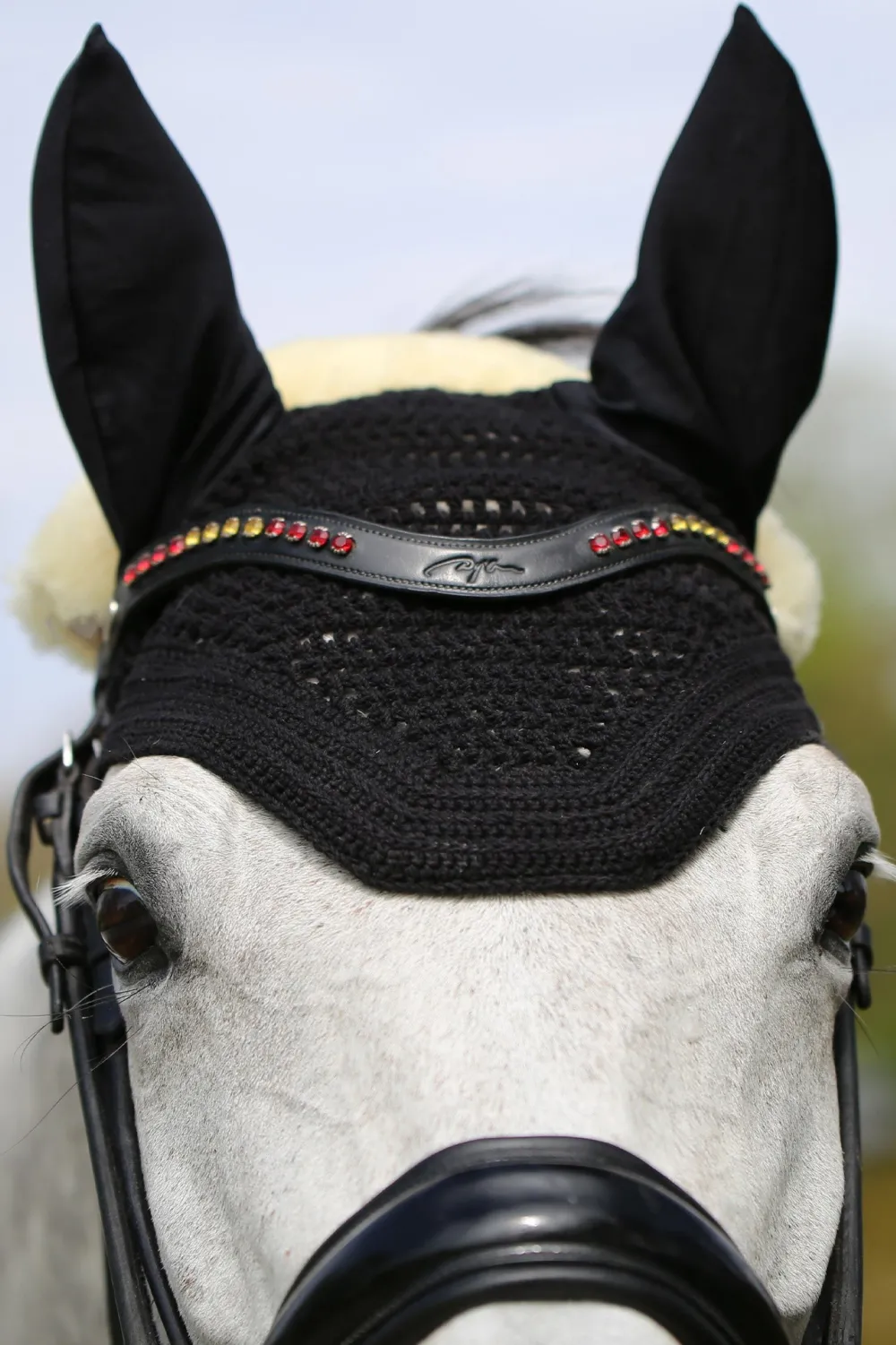 Kentucky Horsewear Schabrak & Huvor-Wellington Huva Svart