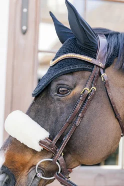 Kentucky Horsewear Kentucky Horsewear|Schabrak & Huvor-Wellington Huva Metal Chain Svart