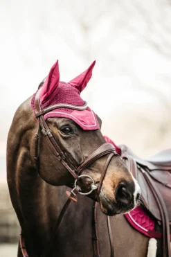 Kentucky Horsewear Kentucky Horsewear|Schabrak & Huvor-Wellington Huva Velvet Fuchsia