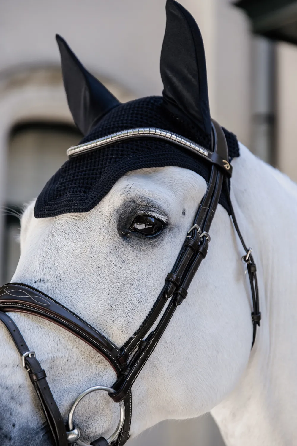 Kentucky Horsewear Kentucky Horsewear|Schabrak & Huvor-Wellington Huva XFull (L) Svart