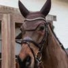 Kentucky Horsewear Kentucky Horsewear|Schabrak & Huvor-Wellington Isolerad Huva Brun