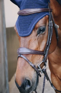 Kentucky Horsewear Schabrak & Huvor-Wellington Isolerad Huva Glitter