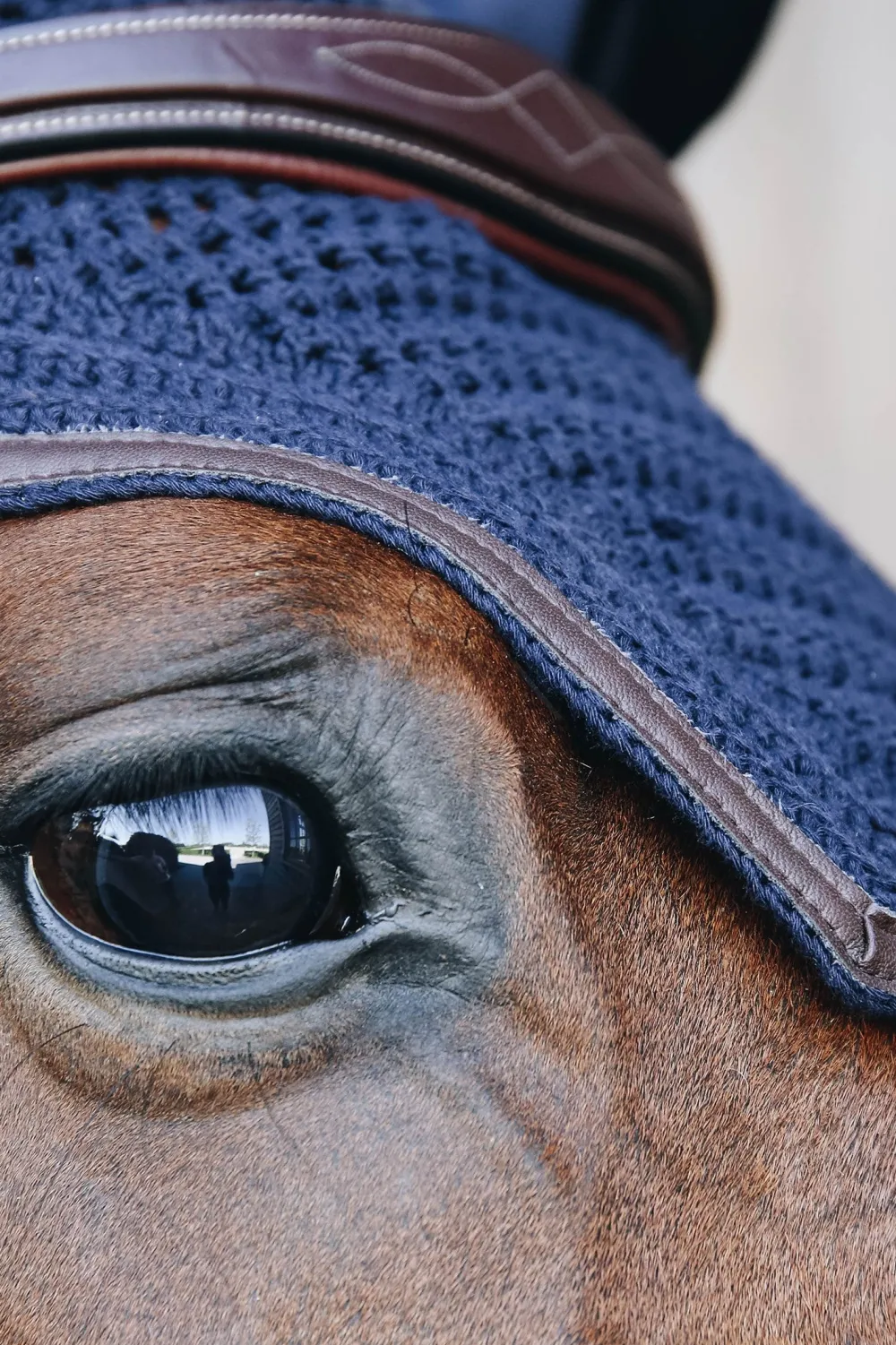 Kentucky Horsewear Schabrak & Huvor-Wellington Isolerad Huva Läder Navy